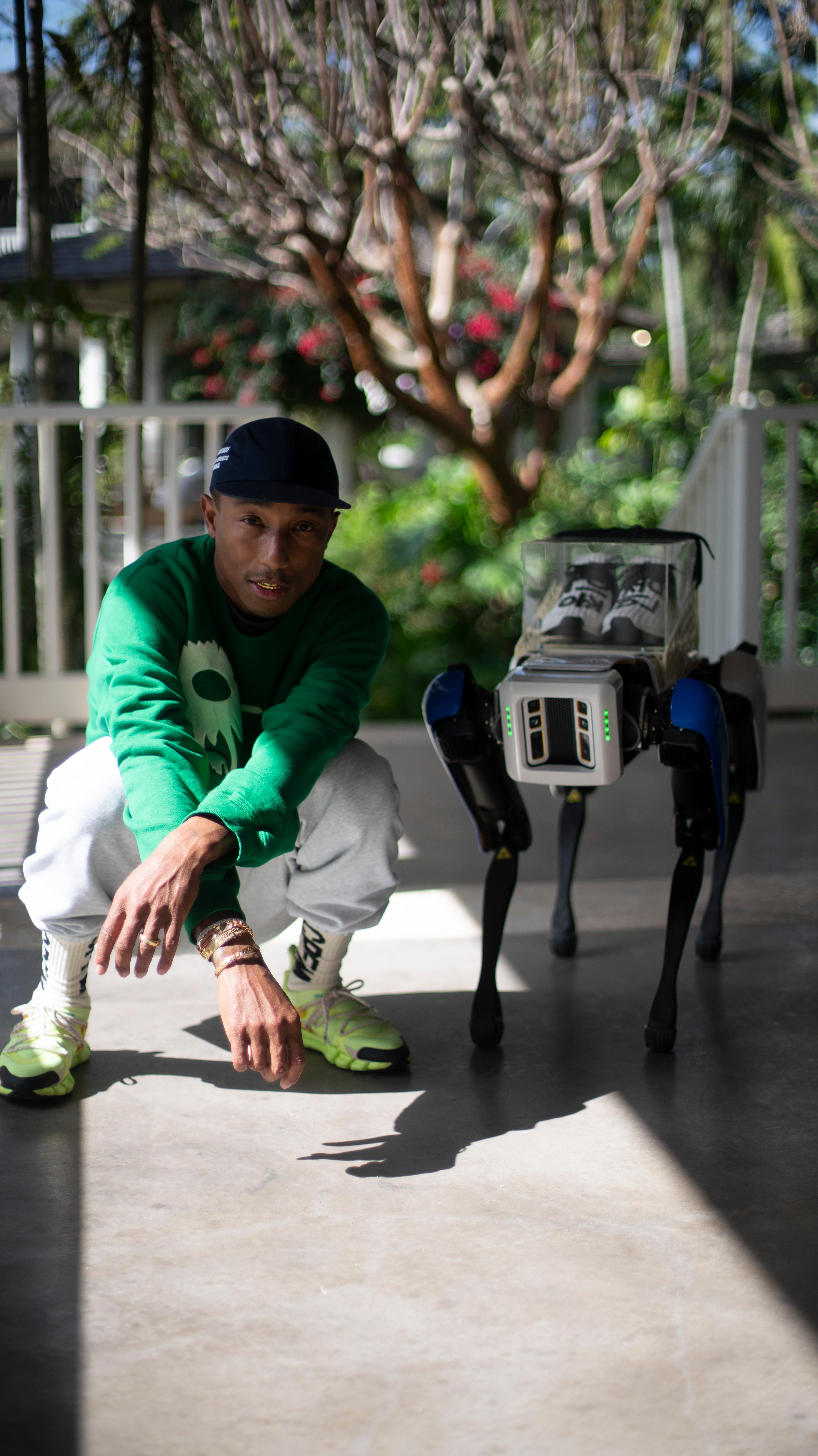 DSC07386 (2) (1) (2)